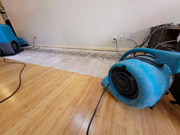 Professional Emergency Water Damage technician working in Appleton, WA